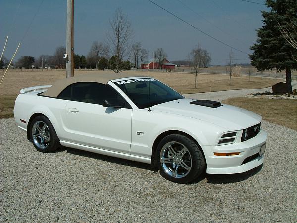 SHOW US YOUR WHEELS 2005-2009 S-197 GEN 1 Only *-wheels-4.jpg