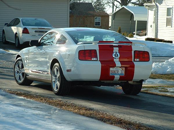 Official Stripes Thread: Photos &amp; Spreadsheet-mustang-2.21.07.012.jpg