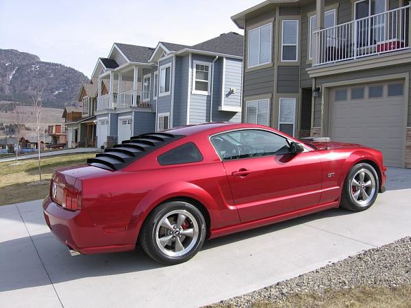 Astra/Hammond Rear Window Louvers-louvers-11.jpg