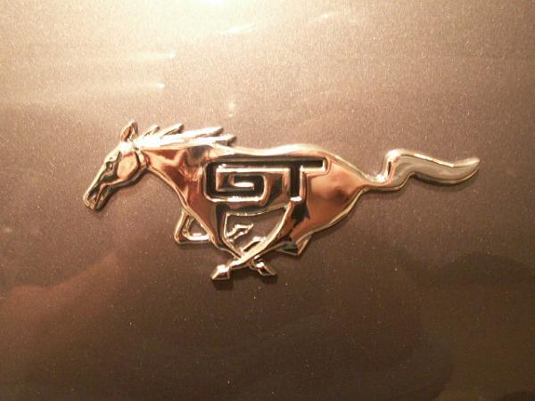 Custom Pony Emblems Installed (Pics)-emblems-007.jpg