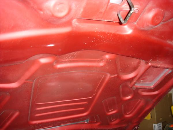 Check It Out....new Hood For S197-dsc00883.jpg