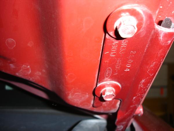 Check It Out....new Hood For S197-dsc00885.jpg