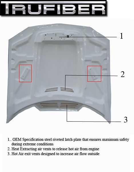 Check It Out....new Hood For S197-cowl-product-page.jpg
