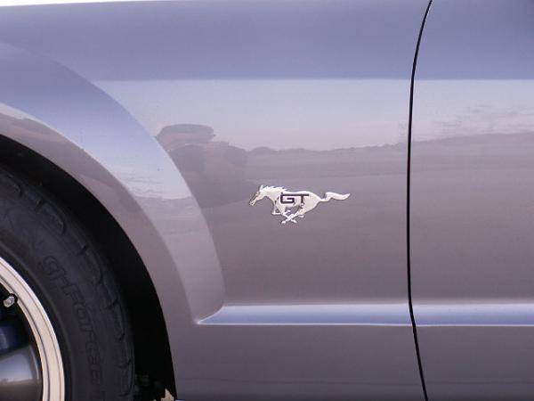 Custom Pony Emblems Installed (Pics)-emblems2-008.jpg