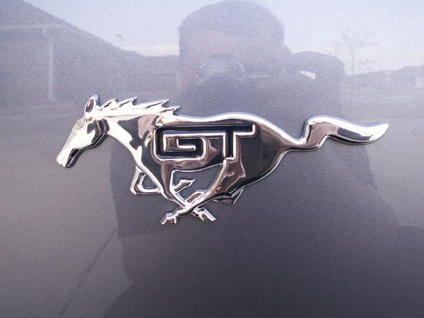 Custom Pony Emblems Installed (Pics)-emblems2-010.jpg