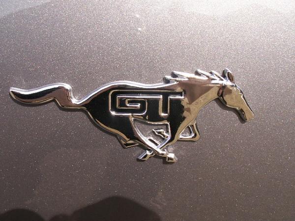 Custom Pony Emblems Installed (Pics)-emblems2-011.jpg