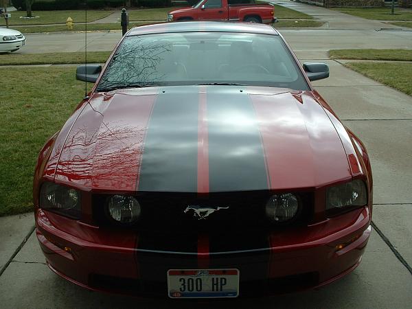 Pics of my stripes and new shift knob-stang-stripes-004.jpg