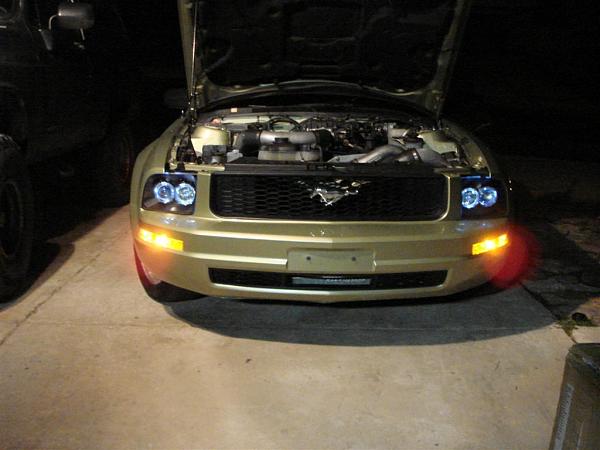 HID problem - Please help!-dsc01070.jpg