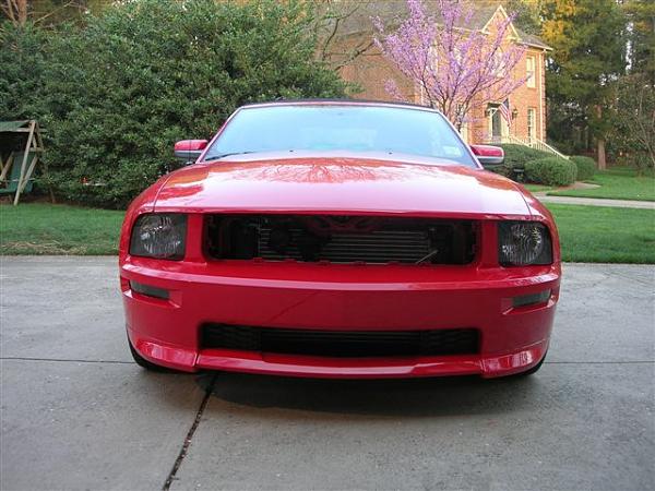Paint Problems - Help!-mustang-168.jpg