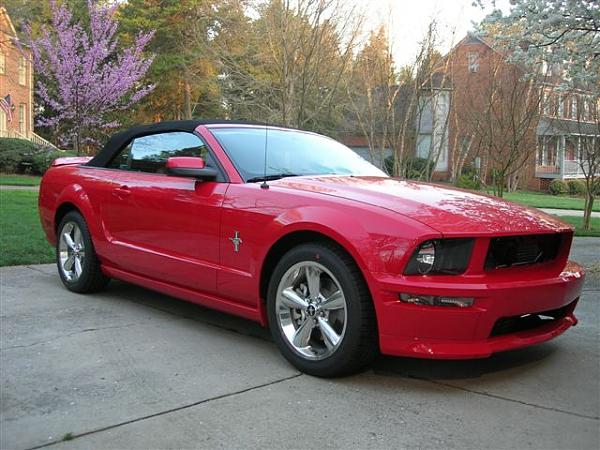 Paint Problems - Help!-mustang-172.jpg