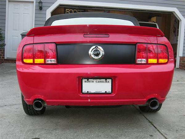 Paint Problems - Help!-mustang-175.jpg