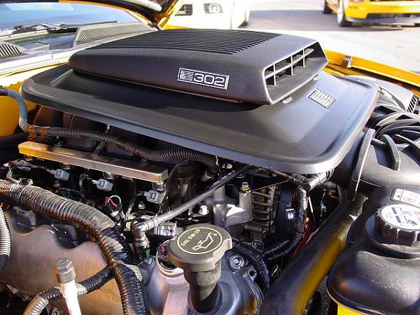 Let's See Those Shaker Hoods!!!!!!!!!-parnelli_jones_302-engine.jpg