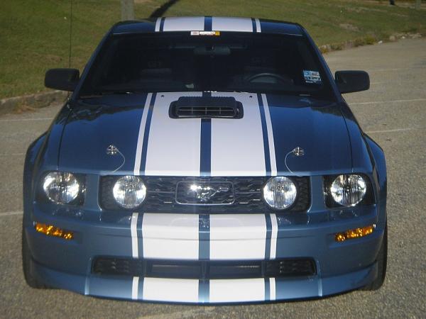 Let's See Those Shaker Hoods!!!!!!!!!-mustang1.jpg