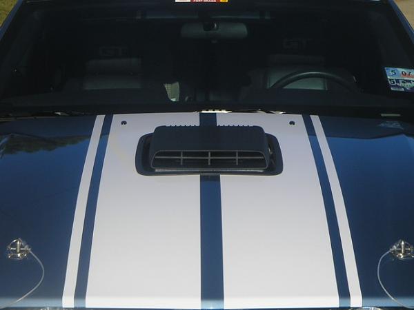 Let's See Those Shaker Hoods!!!!!!!!!-shaker3.jpg