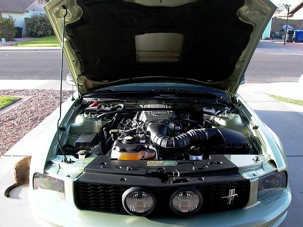 MWAG "GLOSSY" Radiator Ext Covers Installed!!!-p1010453.jpg