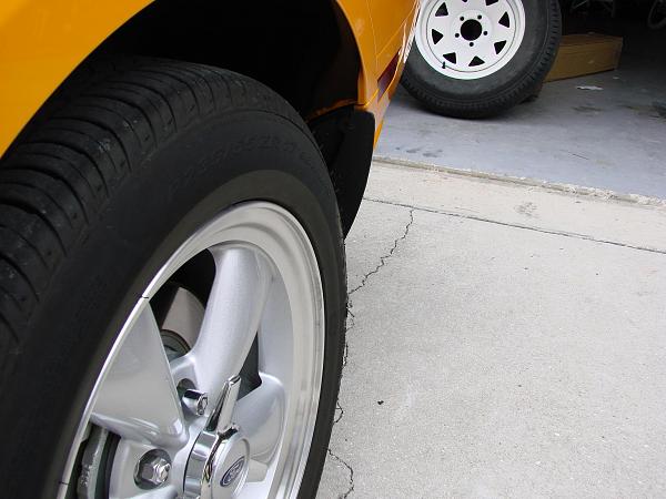 I need Splash Guards!!!  Shelby Maybe??-4.jpg