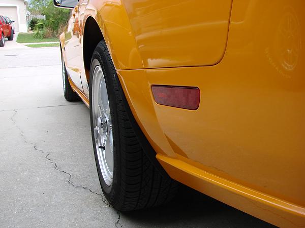 I need Splash Guards!!!  Shelby Maybe??-7.jpg