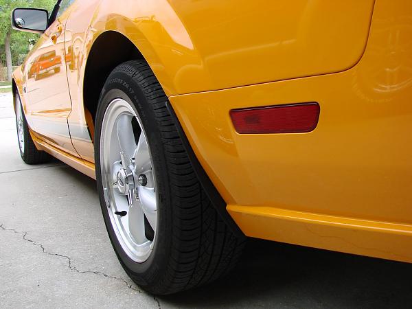 I need Splash Guards!!!  Shelby Maybe??-8.jpg