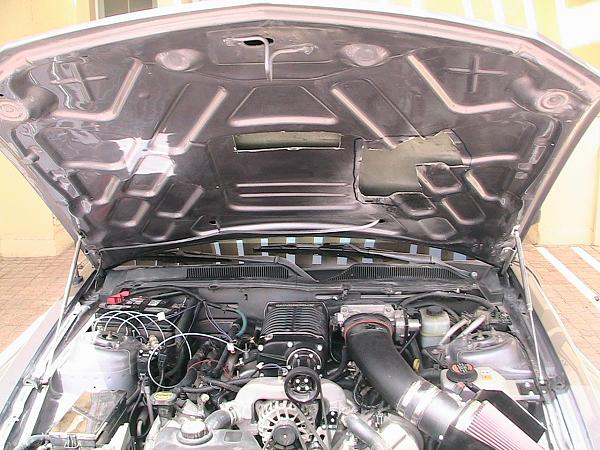 cs6 hood-pic_0187.jpg