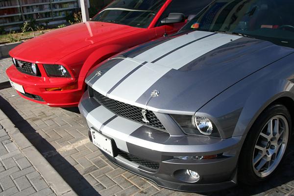 cs6 hood-img_0820.jpg