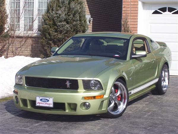 Black Billet CDC grille Installed-spring-mods-12.jpg