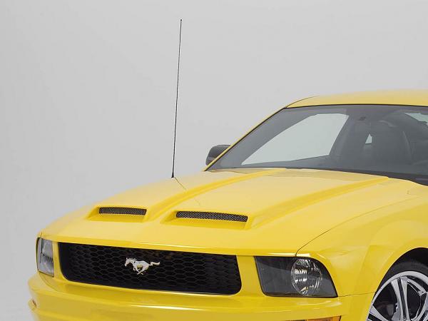 Check It Out....new Hood For S197-mustang_fullview_2_2aaa.jpg