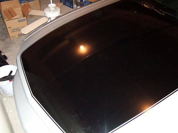 Hood Blackout-dscf1590-medium-.jpg