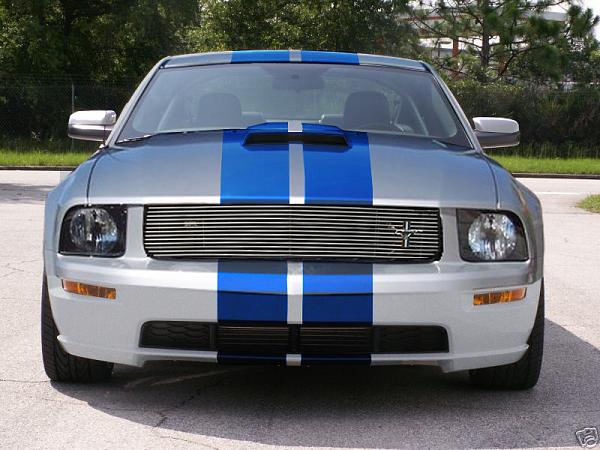 Opinions on 3 different aftermarket grilles-shelbygt-overlay.jpg