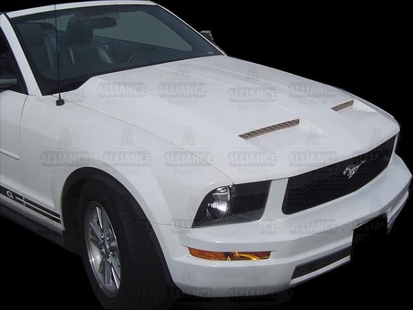 Hood Help Please-fh-fm05-gtr_5.jpg