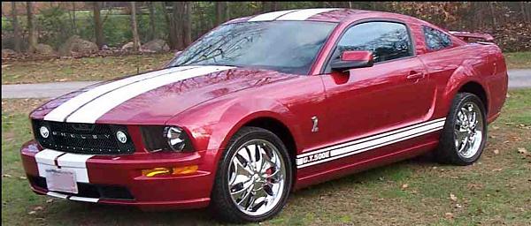 Torch Red owner looking for advice on Stripes!-picture-3.jpg