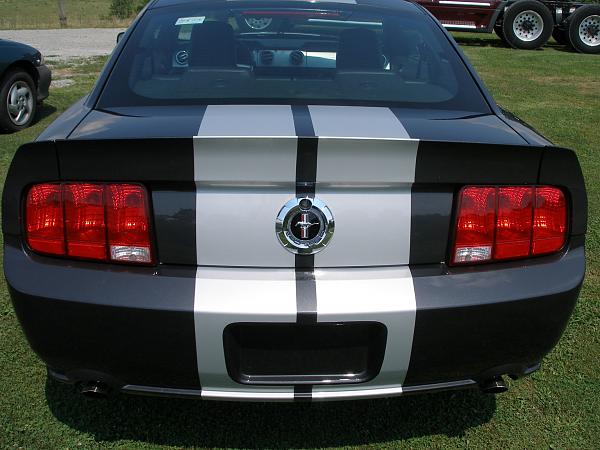 CDC Ducktail Spoiler-mustang7.jpeg