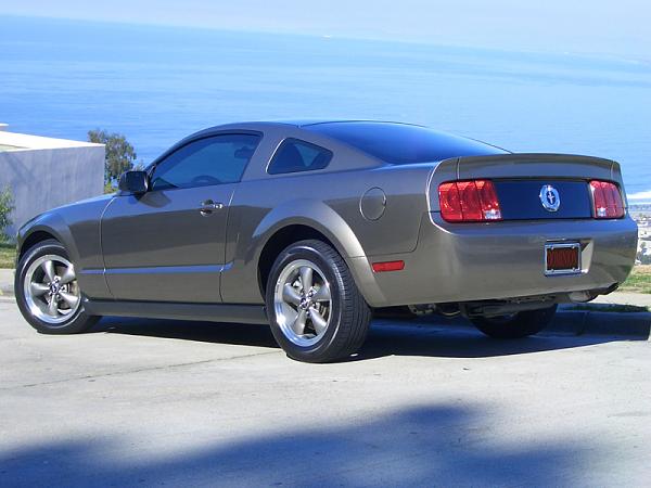 CDC Ducktail Spoiler-2005_mg_mustang_003_800x600.jpg