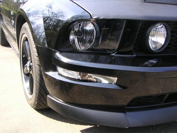 Has anyone gotten a Bra yet?-small4.jpg