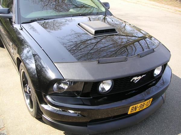 Has anyone gotten a Bra yet?-small7.jpg