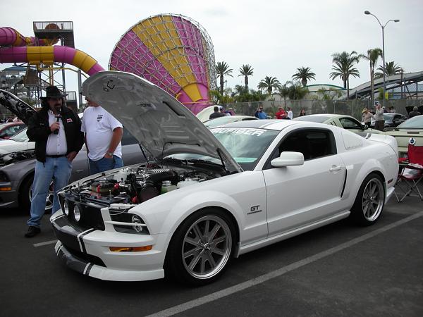 trufiber GT-S ram air hood group sale 5 hoods-dscn8382.jpg