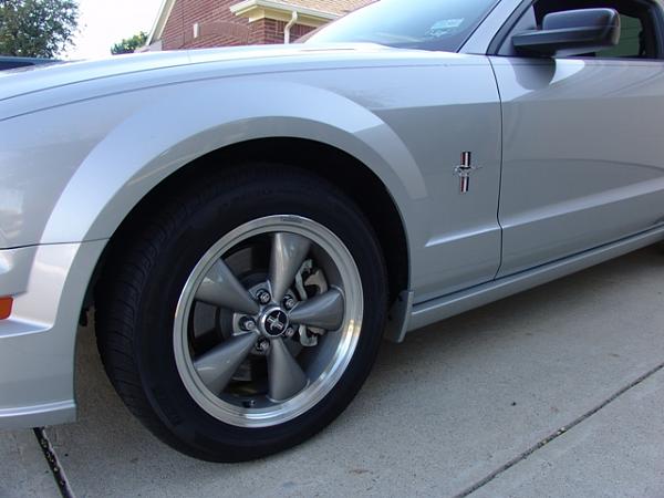 Pinstripes on sides with no center stripes-dsc03994.jpg