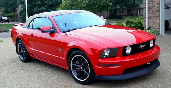 Pics of my baby. What do you guys think?-p1010823-copy.jpg