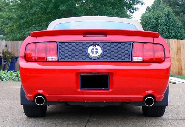 Pics of my baby. What do you guys think?-p1010820.jpg