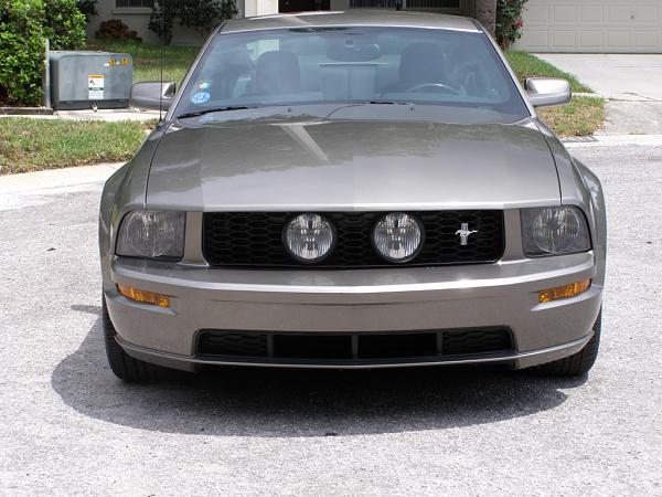 What grille should I buy?-p4270008_c.jpg