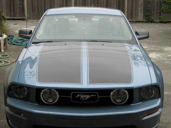 stripes are on!-stripes008.jpg