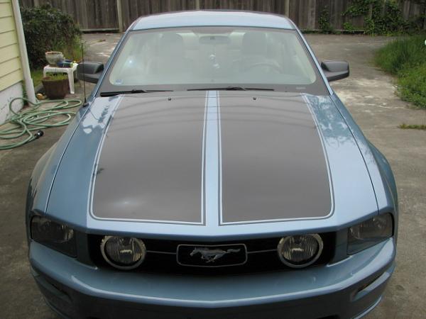 stripes are on!-stripes011.jpg