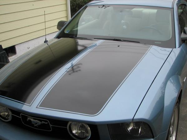 stripes are on!-stripes015.jpg