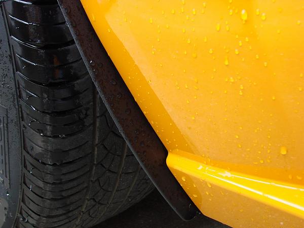 I need Splash Guards!!!  Shelby Maybe??-55.jpg