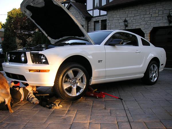 Let's See You Mug With Your Car!-oil1.jpg