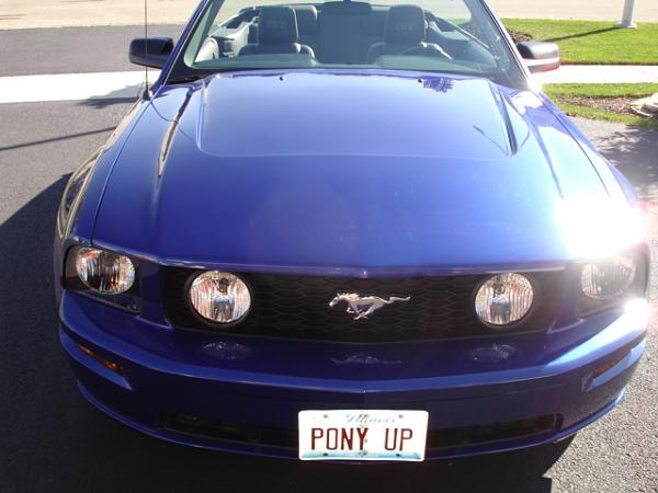 CS6 / GTH Hood Installed-dsc02683.jpg