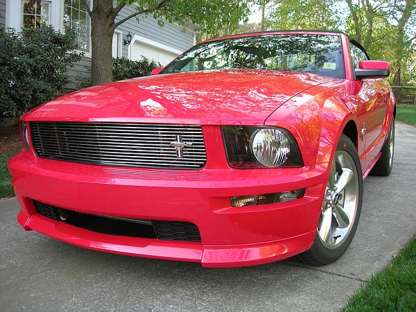 Post pics of your Chin Spoilers!!-mustang-281a.jpg