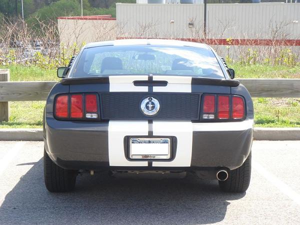 Tail Light Bezels-mustang-2007-083.jpg