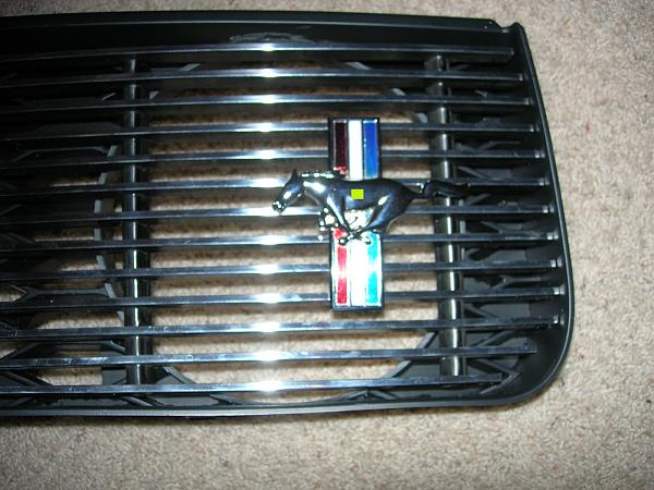 Shelby GT grill-mustang-258a.jpg