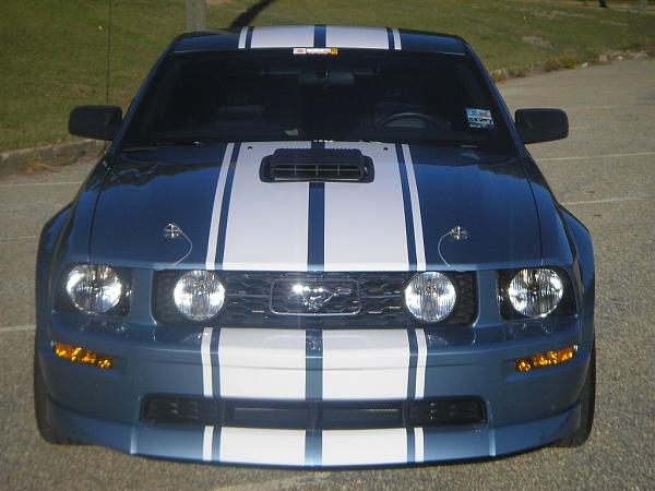 Has anyone added pinstripes to the ford stripes?-mustang1.jpg