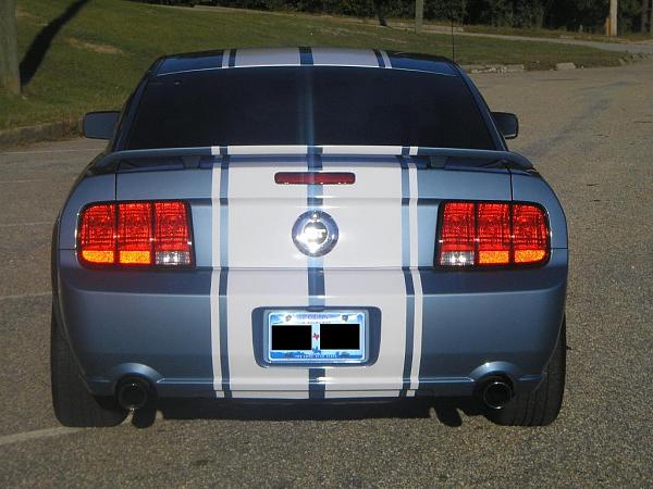 Has anyone added pinstripes to the ford stripes?-mustang2.jpg
